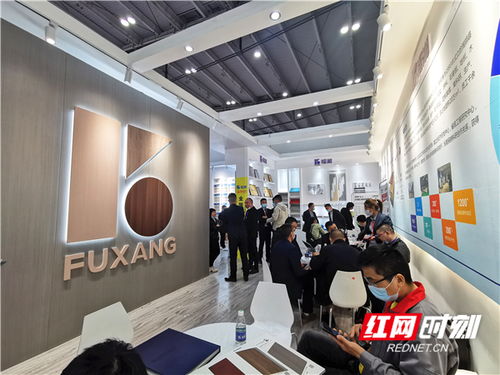 福湘双星闪耀2021中部长沙建博会，开启品牌全新征程